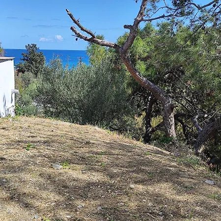 Apartman 